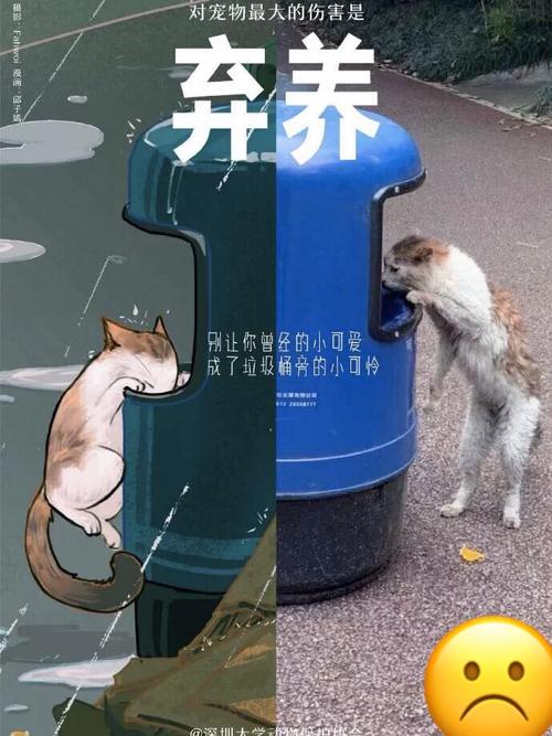 诛心!追梦喷克内克特:你别跟我说屁话 你被交易走后又被送回来