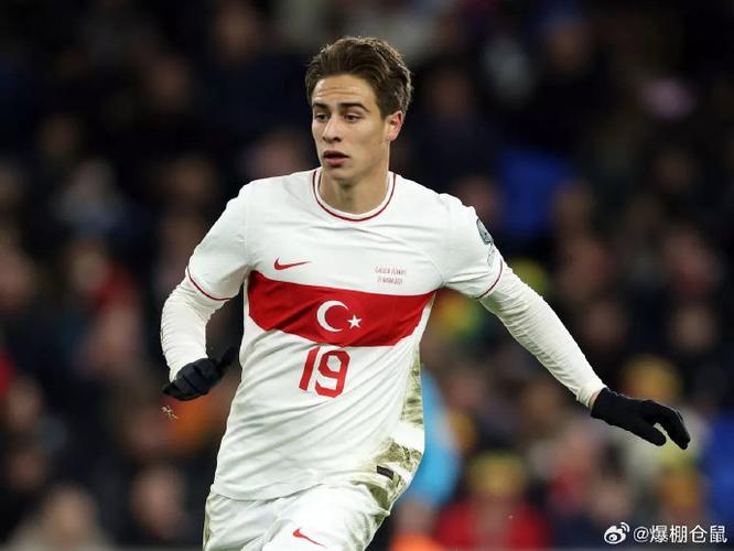 未来💪20岁伊尔迪兹7500万，20岁居莱尔6000万，19岁乌尊4500万