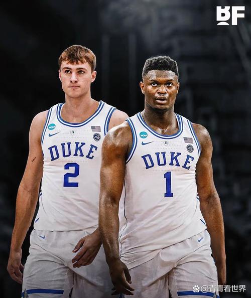 下半场轰25分难救主！锡安17中9空砍29分6板3助